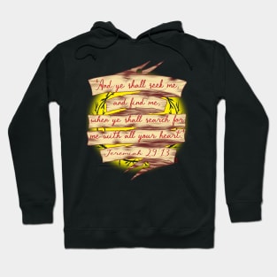 Jeremiah 29:13 Hoodie